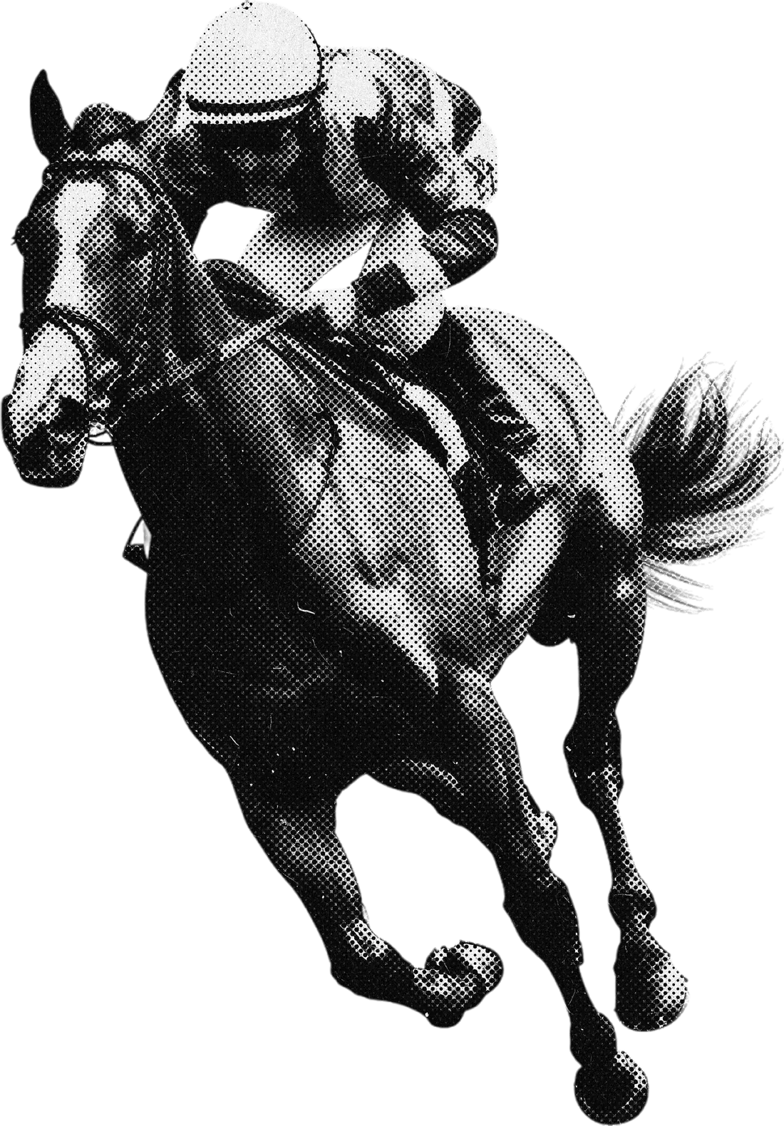 Jockey racing a horse