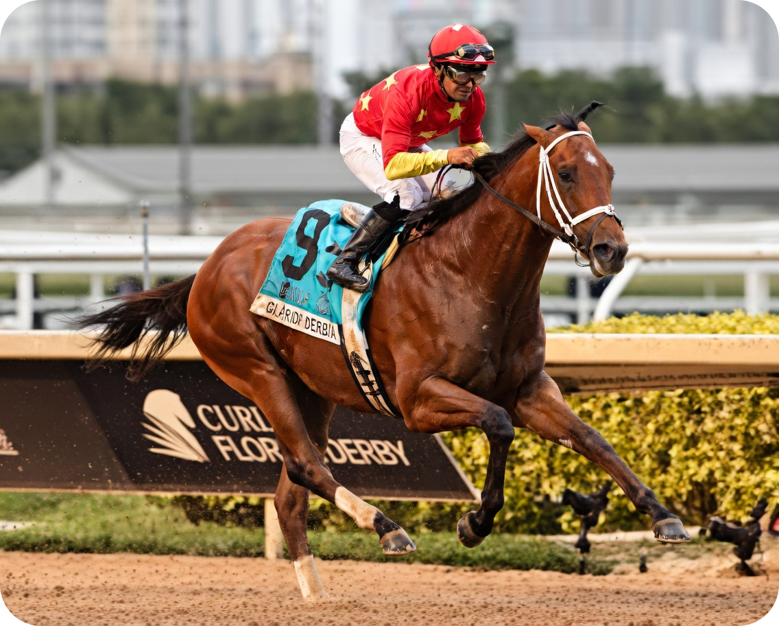 Image © Gulfstream Park