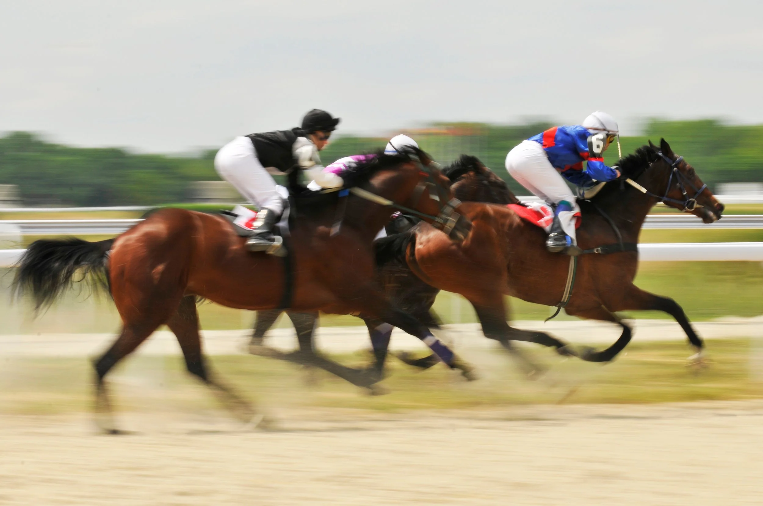 Don't miss the 2026 Belmont Stakes at Saratoga. Bet Golden Tempo, Renegade, and the full field at MyWinners — online, on mobile, or in person at a Winners venue near you. Open to all customers 18 and over.