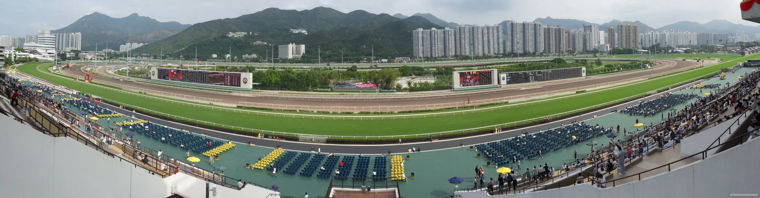 Betting on Hong King horse racing in the USA