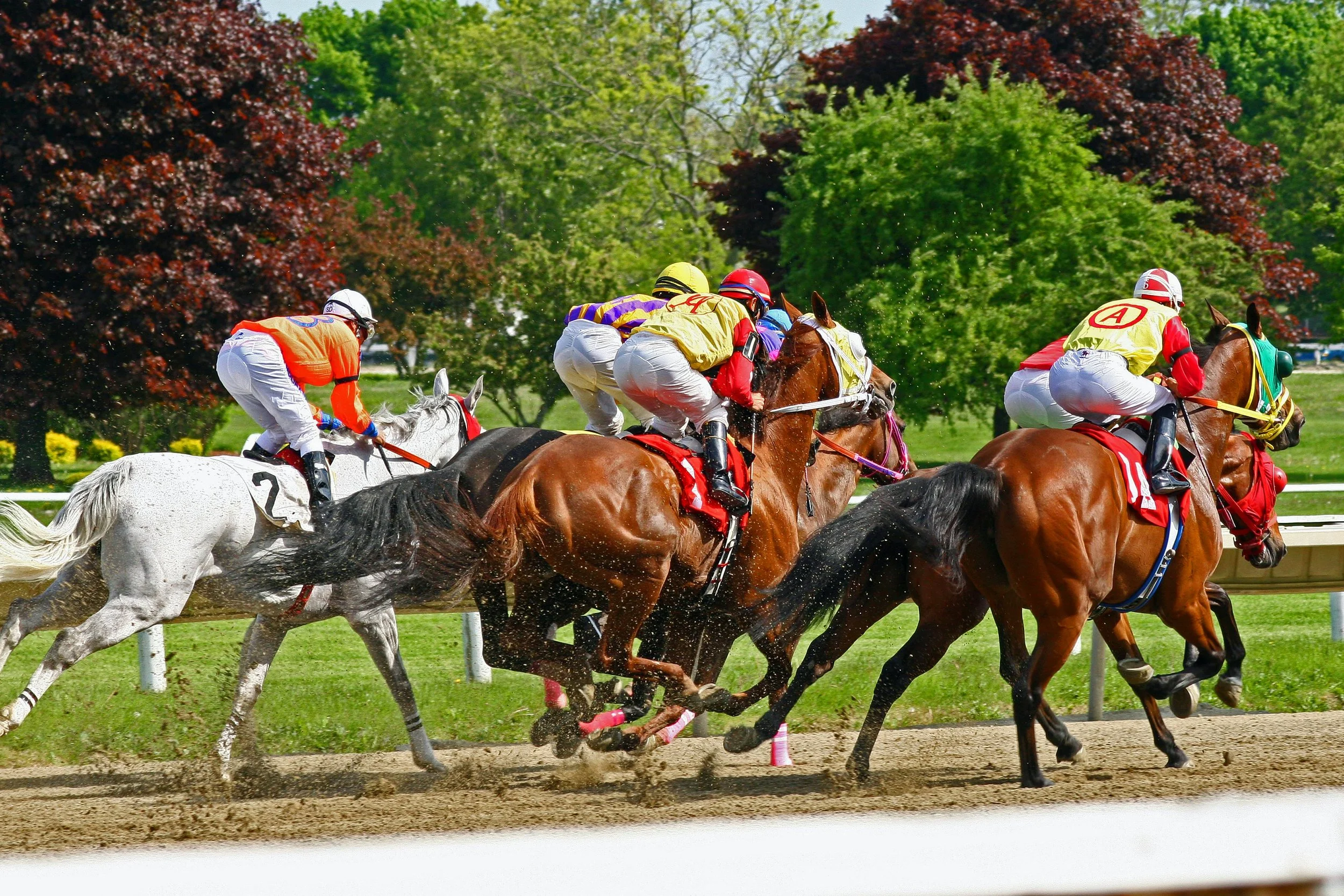 Thoroughbred horses racing on a dirt track Title: Preakness Stakes pace scenario 2026 Caption: Preakness Stakes pace scenario 2026 Description: Preakness Stakes pace scenario 2026