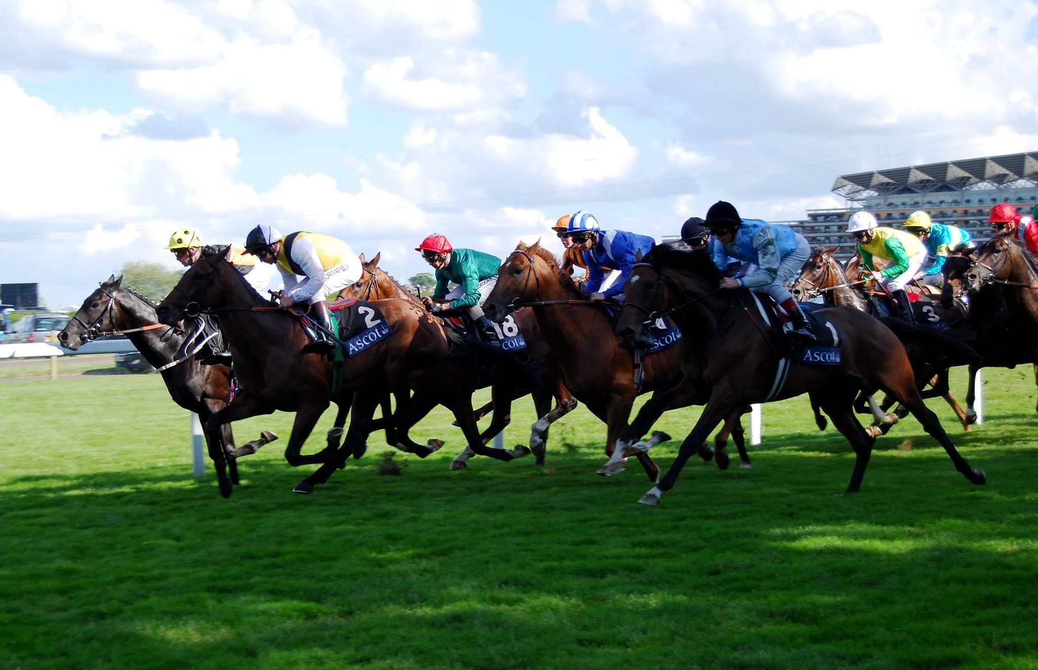 A look at the King George VI and Queen Elizabeth Stakes 2026 contenders as Ascot's richest race approaches.