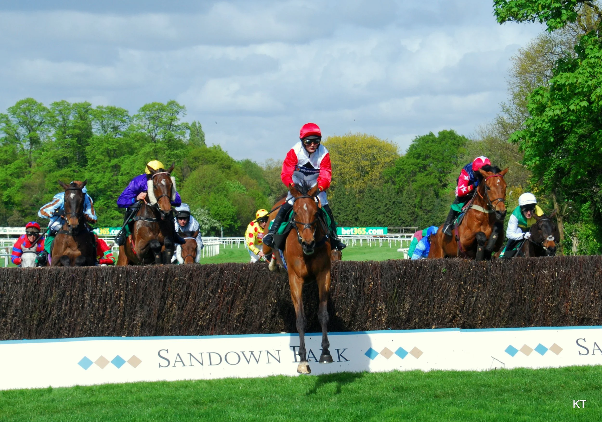Sandown Park racing action illustrating our Durban July tips and Eclipse preview