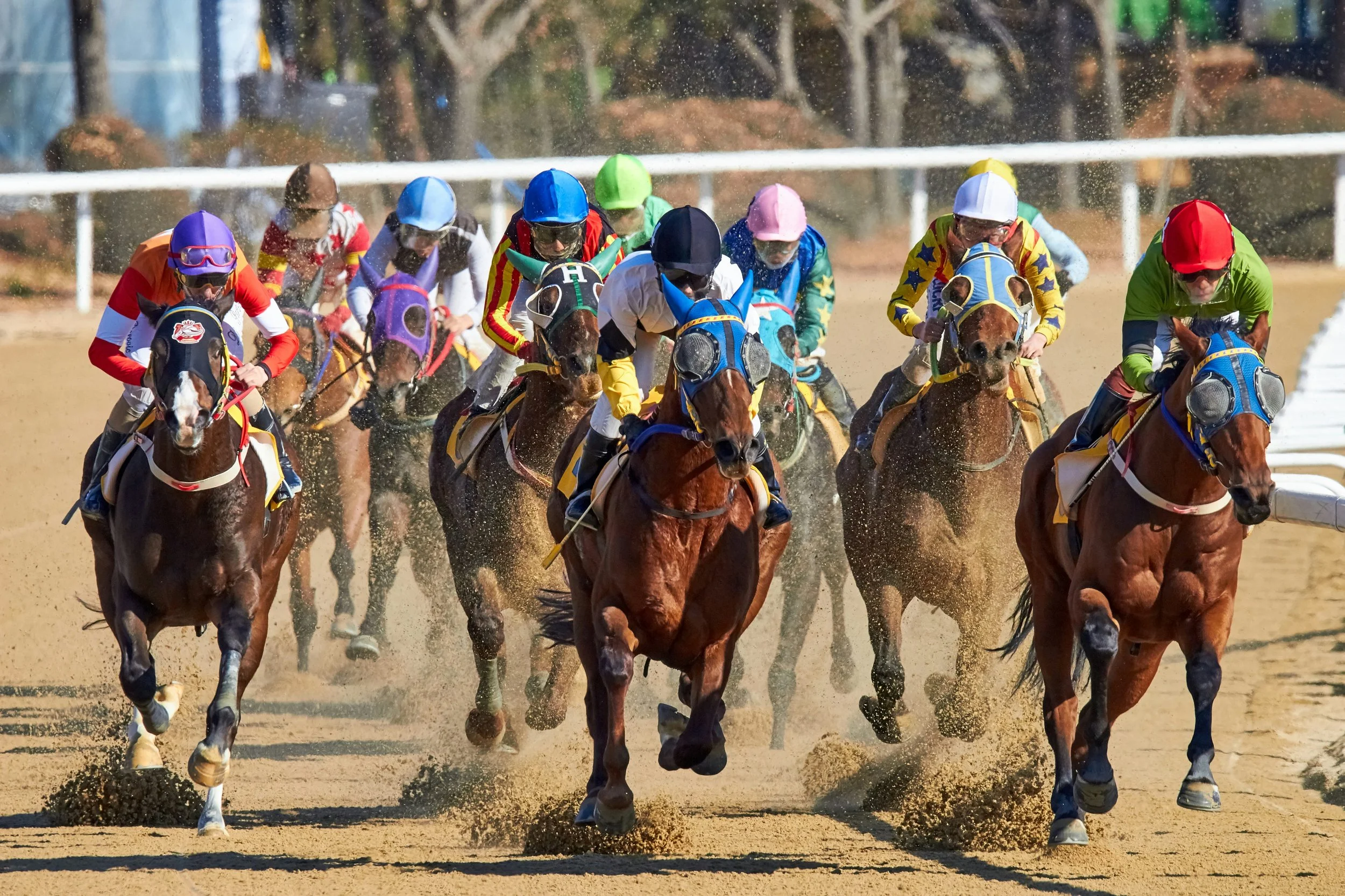 The Grade 3 Cornhusker Handicap field lines up for the 2026 Iowa Racing Festival at Prairie Meadows.