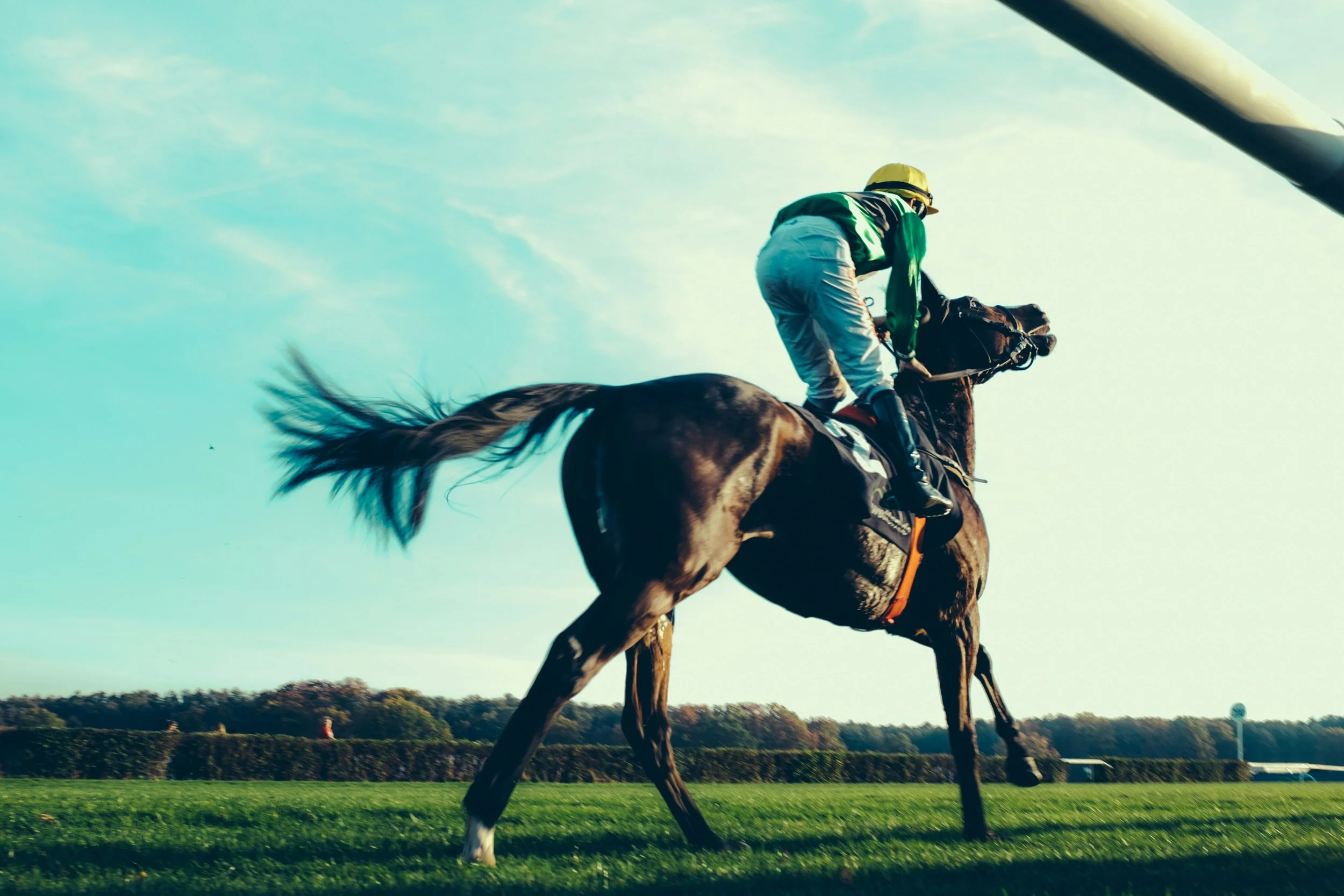 Three-year-old colts battling down the turf course in a race similar to Saturday's Grade 1 Belmont Derby, the marquee event of Saratoga opening weekend.
