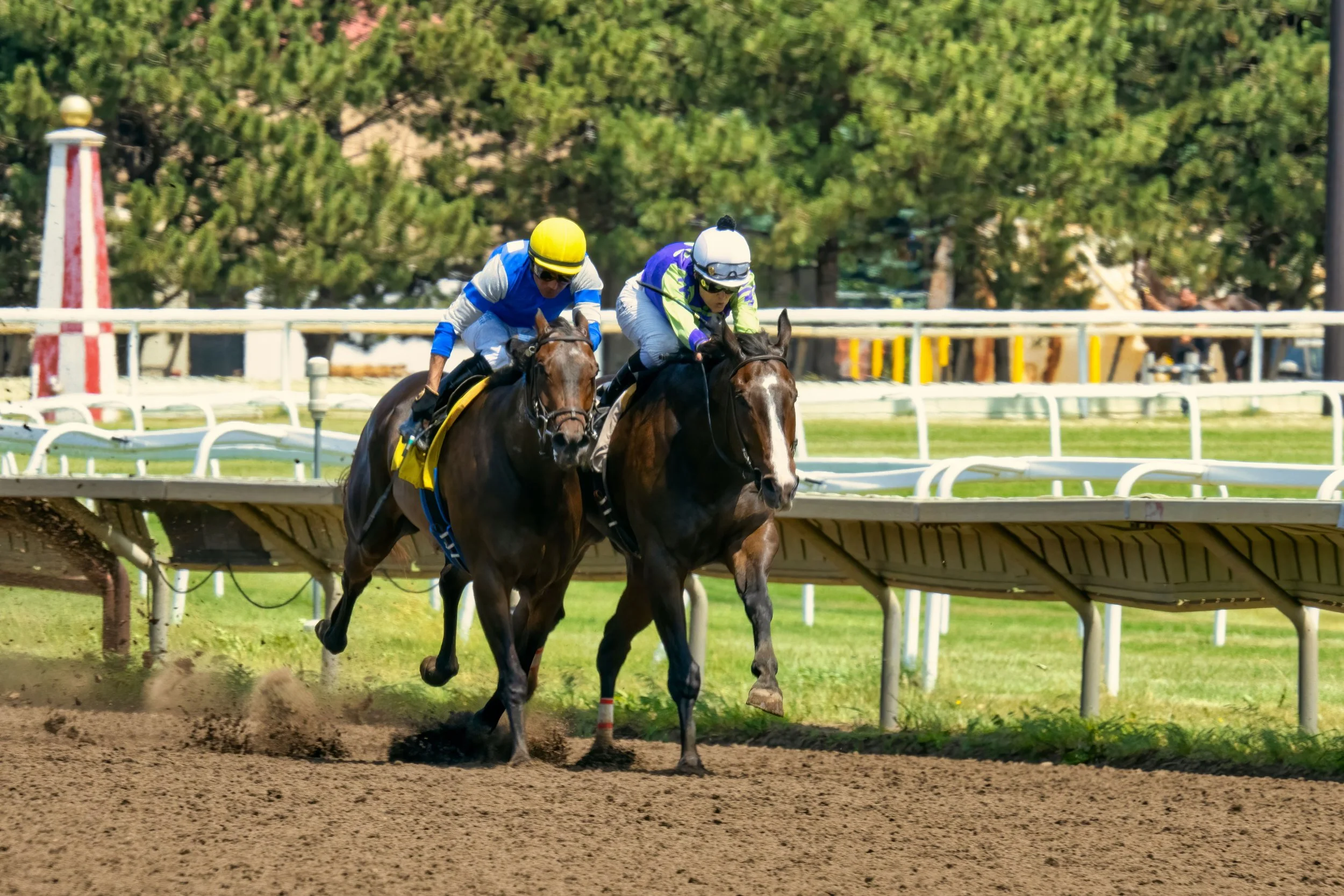 A look at the 2026 Iowa Racing Festival card at Prairie Meadows in Altoona, Iowa.