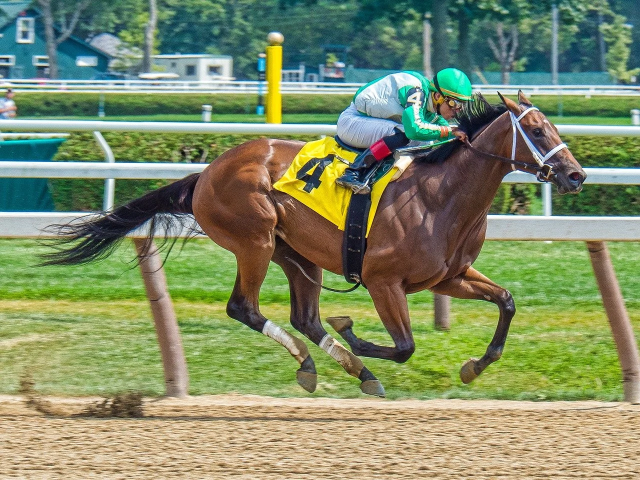 A breakdown of the Grade 2 Vanderbilt sprint as part of this weekend's Saratoga weekend racing schedule.