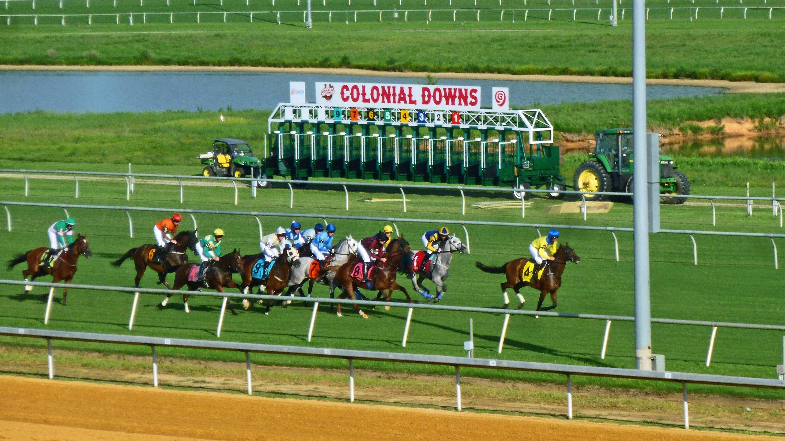Image of Beverly D favorite Stellify featured in the 2026 Arlington Million preview and betting guide.