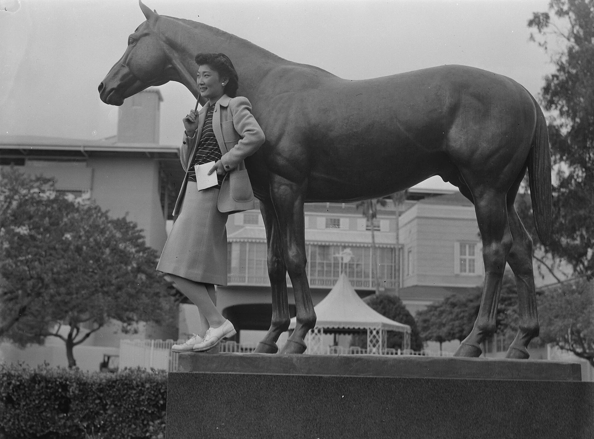 The seabiscuit horse in retirement at Ridgewood Ranch following his last race".