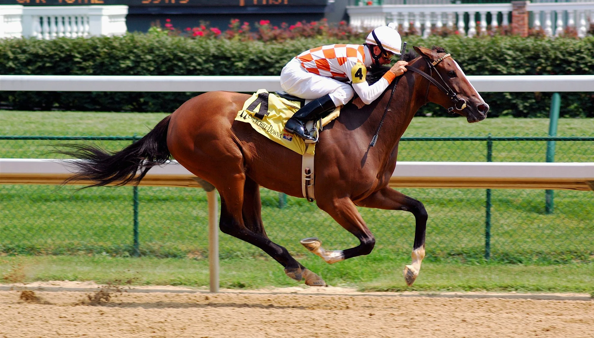 Horse racing at Churchill Downs, one of the historic tracks MyWinners customers can bet on online or in person.