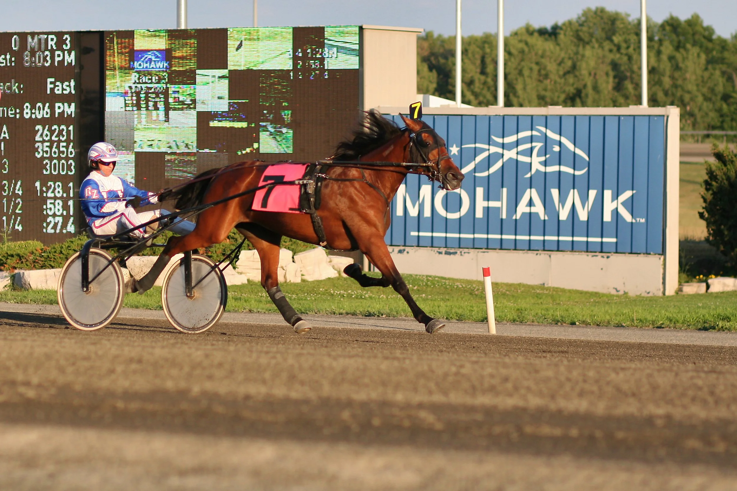 Hero image for MyWinners' coverage of Woodbine stakes this weekend, previewing the Ontario Colleen, Hendrie and Trillium Stakes on Saturday plus the Thunder Bay and Lake Superior on Sunday