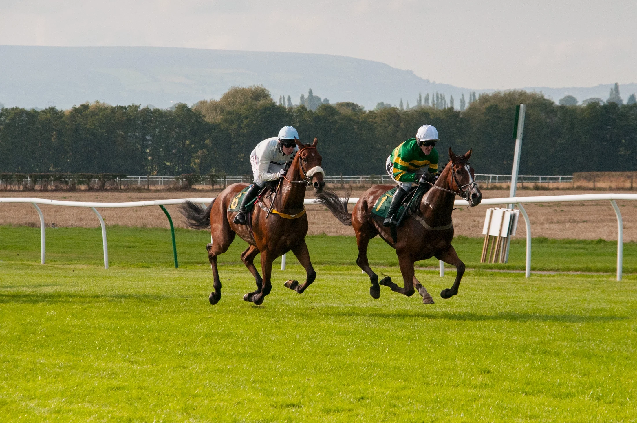 MyWinners' bankroll management for horse racing guide, covering unit sizing, staking plans and avoiding the chase.