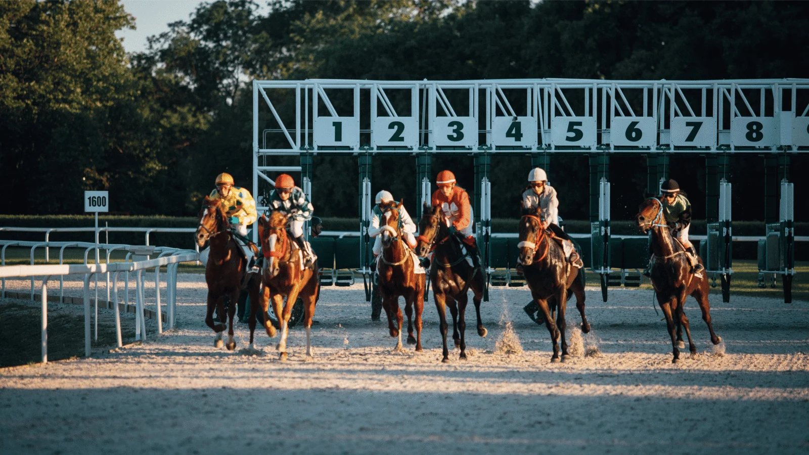 Winners Norwalk venue, where you can bet on horses in Norwalk