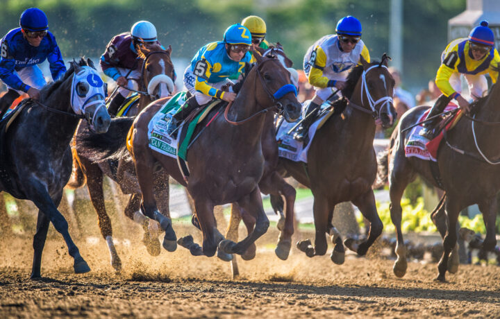 Dowager Stakes at Keeneland, fillies and mares racing on the turf course.