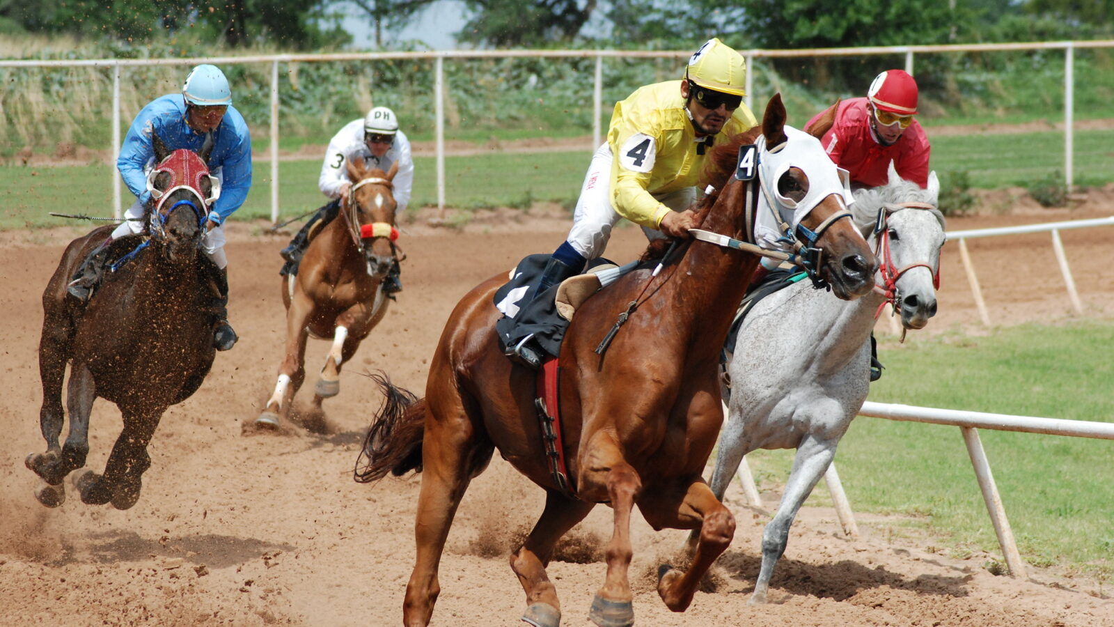 Forty Niner Stakes 2026 runners on the dirt at Belmont Park