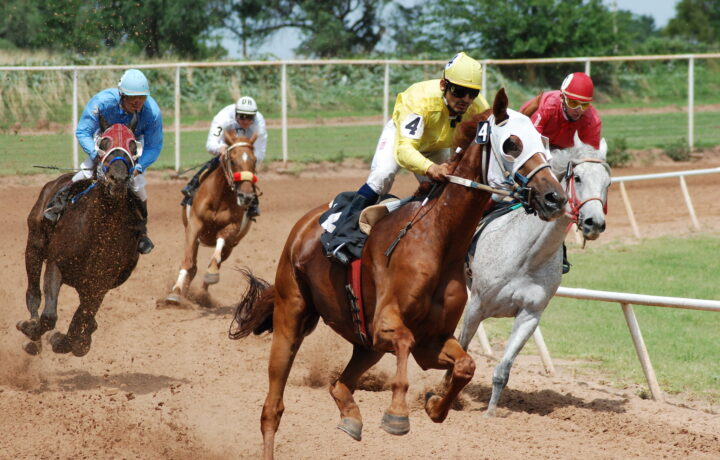 Forty Niner Stakes 2026 runners on the dirt at Belmont Park