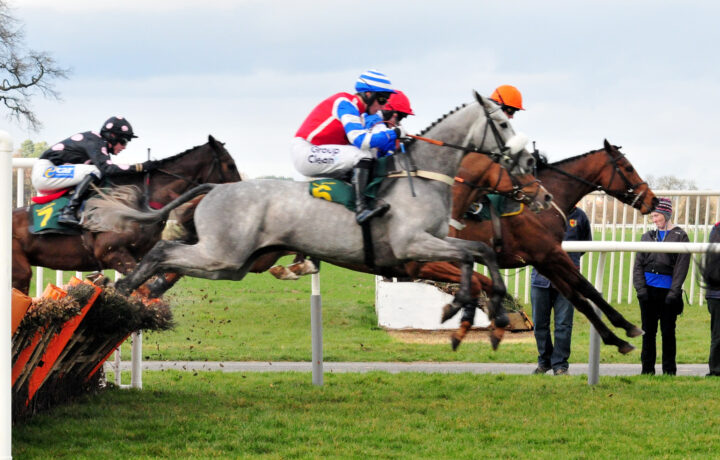 Weekend horse racing preview: runners in the straight at Ascot on British Champions Day.