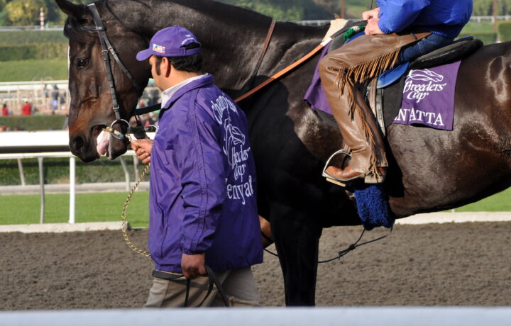 Zenyatta closing wide to win the 2009 Breeders' Cup Classic at Santa Anita