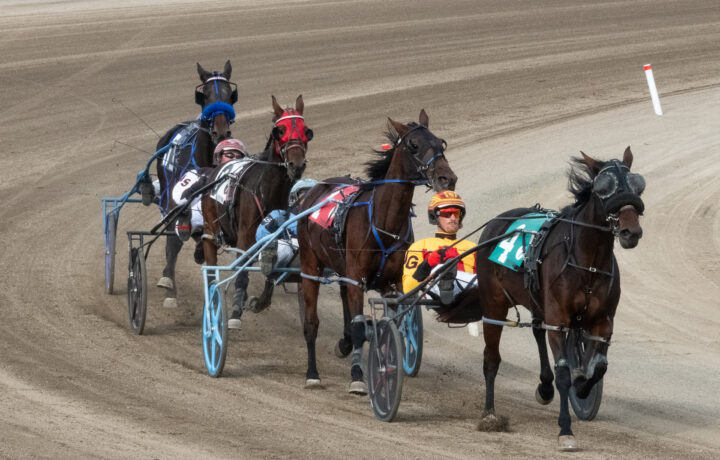 reeders Crown 2026 finals at Eldorado Scioto Downs under the lights