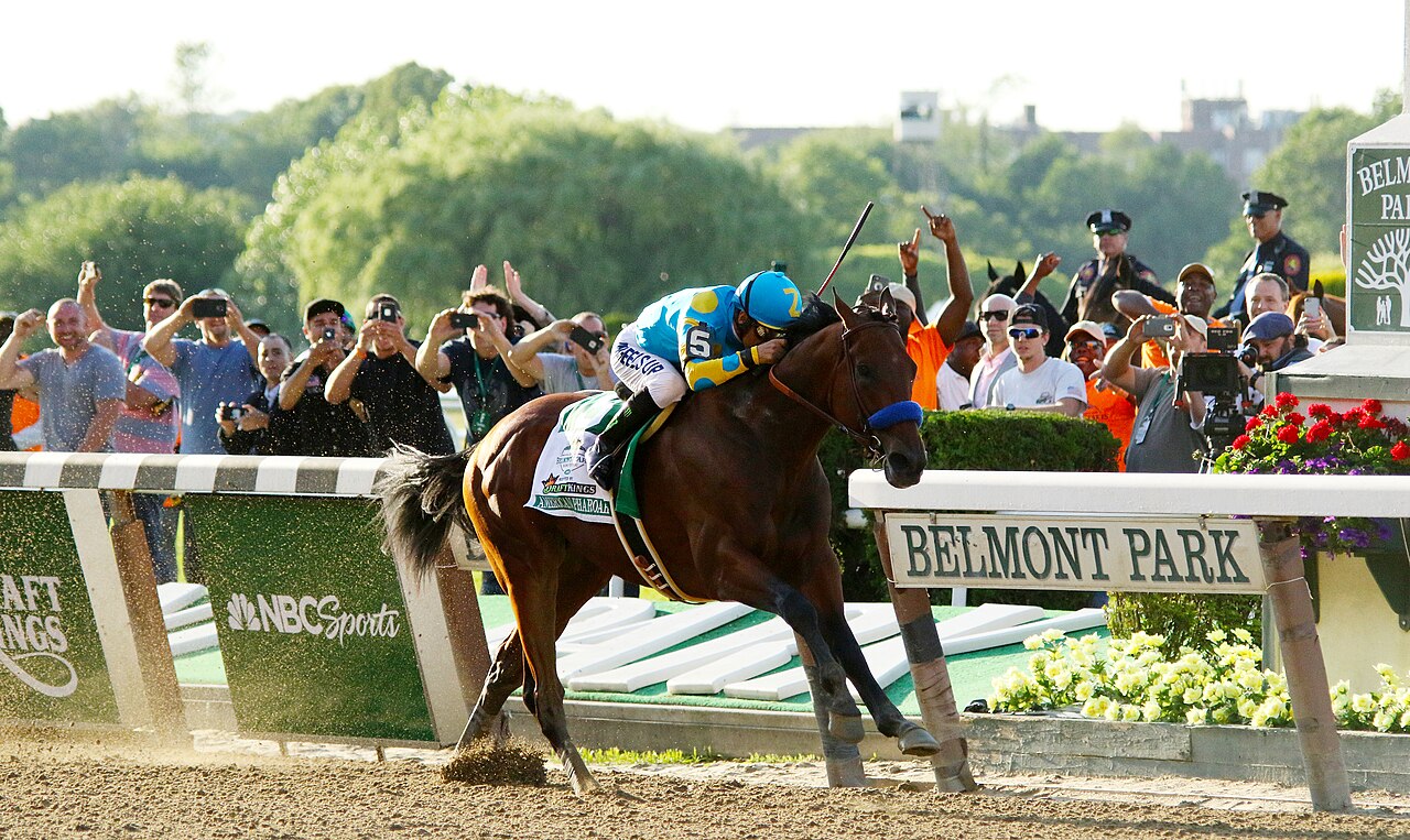 Hill Prince Stakes 2026 runners on the Belmont Park turf course