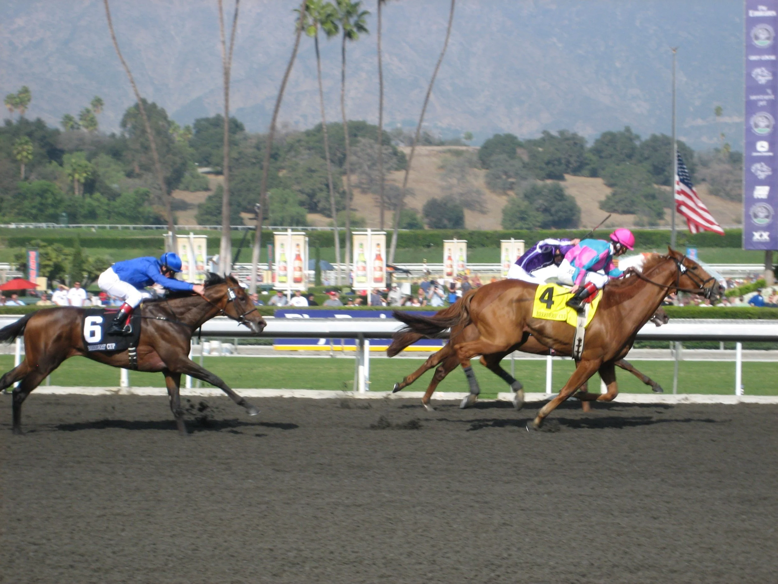 Fall Stars Weekend at Keeneland as covered in this Breeders' Cup Win and You're In tracker