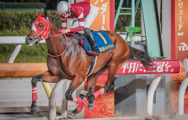 Forever Young horse crossing the line first in the 2024 Japan Dirt Classic at Ohi