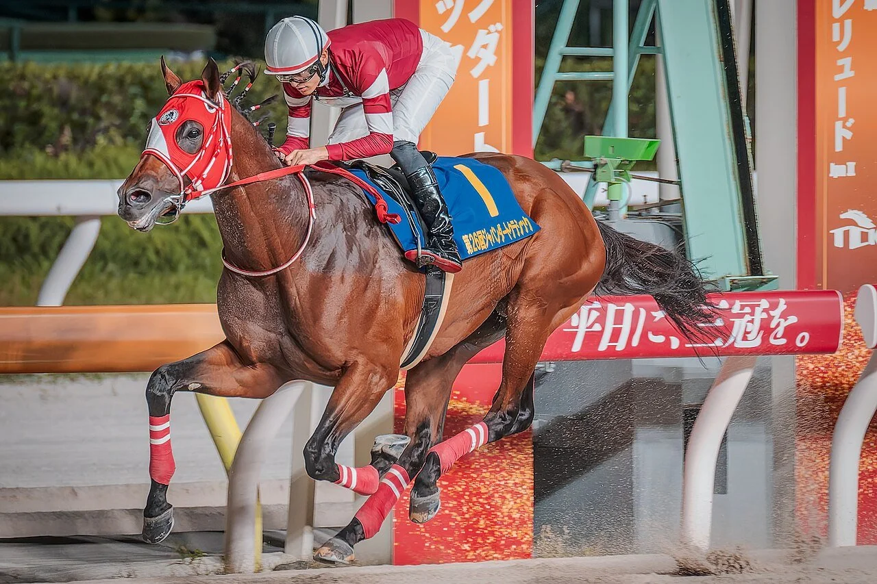 Forever Young horse crossing the line first in the 2024 Japan Dirt Classic at Ohi