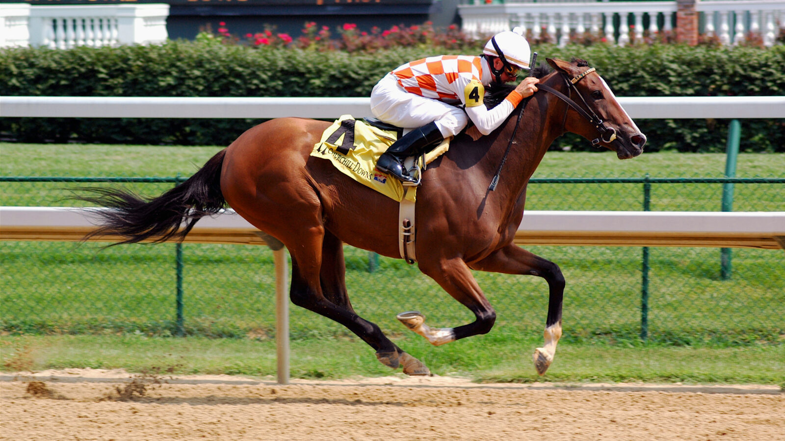Horses racing at the new Belmont Park as fans bet on horse racing in New York with MyWinners