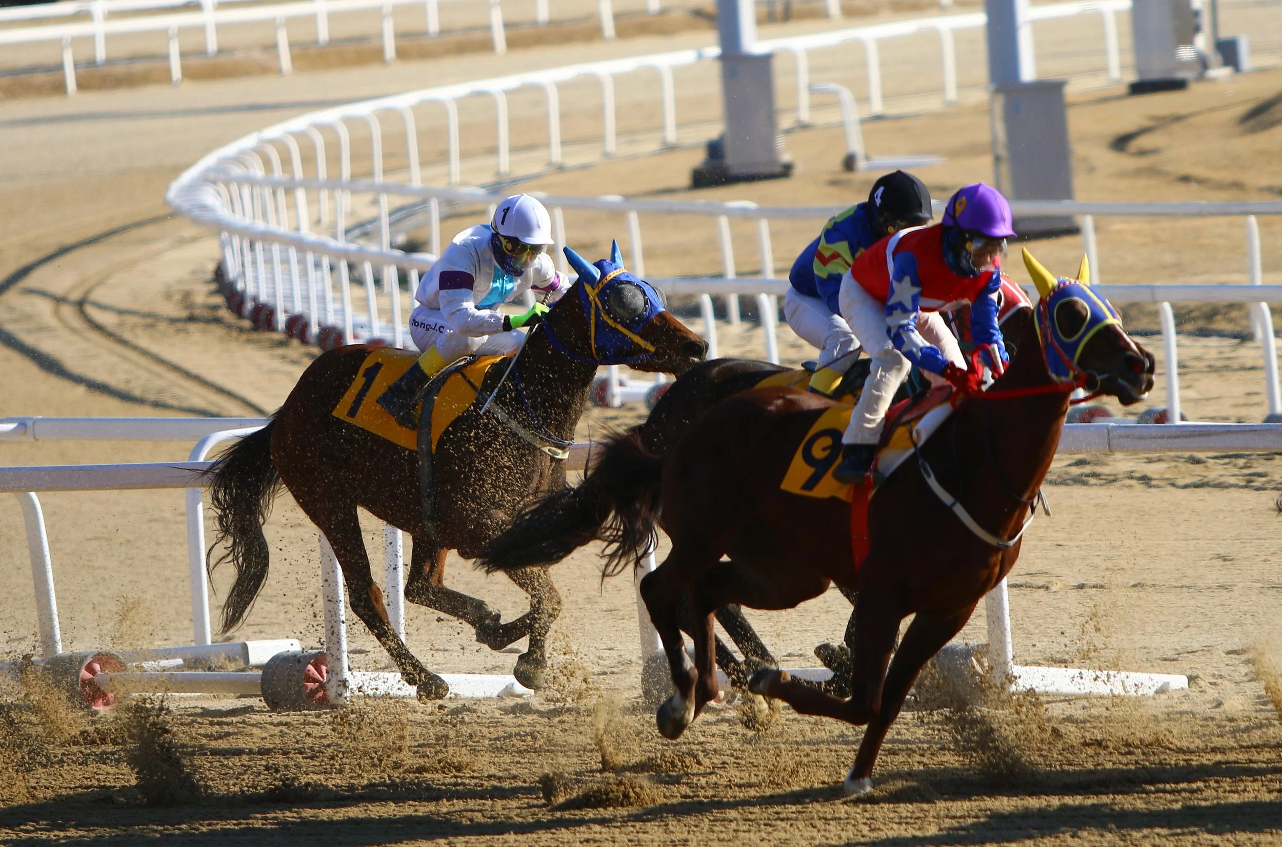 An illustration supporting MyWinners' horse racing terminology glossary for beginners"