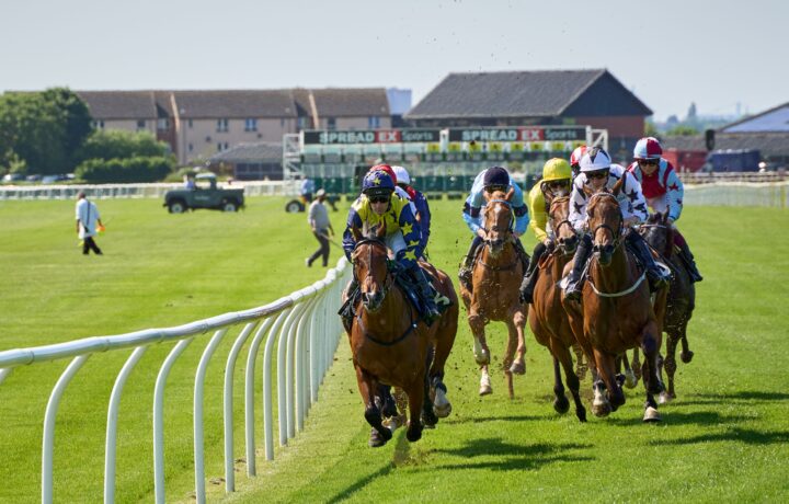 Horse betting for beginners with a $20 race day betting plan