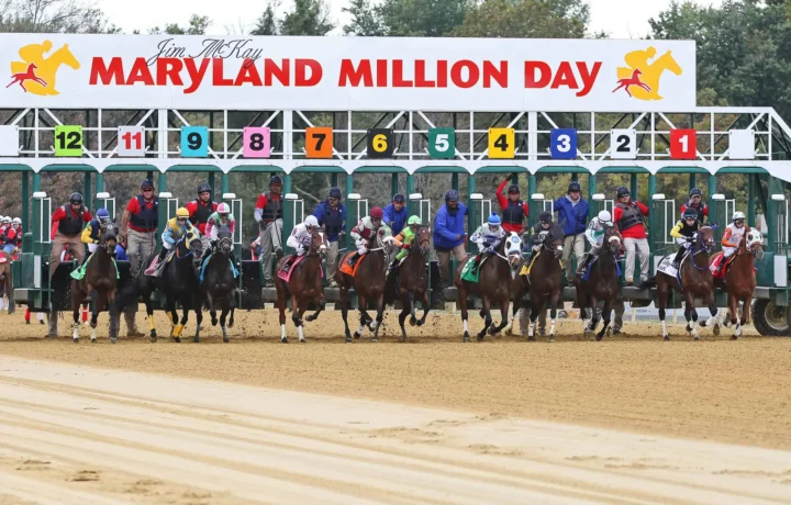 Maryland Million Day 2026 horses racing down the stretch at Laurel Park